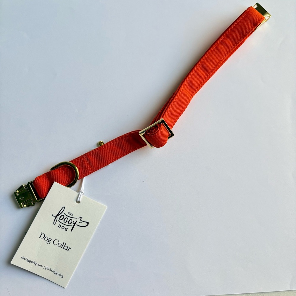 The Foggy Dog Orange Dog Collar Small Gold Hardware Pet Fall Harvest NEW w/ tags - Picture 9 of 13